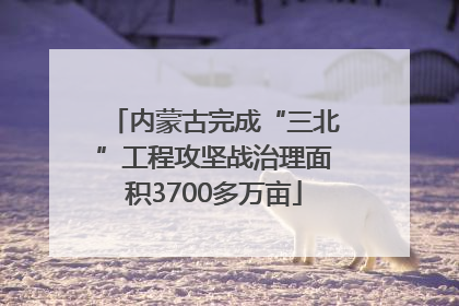 内蒙古完成“三北”工程攻坚战治理面积3700多万亩