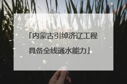 内蒙古引绰济辽工程具备全线通水能力