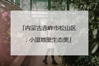 内蒙古赤峰市松山区：小湿地里生态美