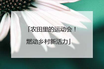 农田里的运动会！燃动乡村新活力
