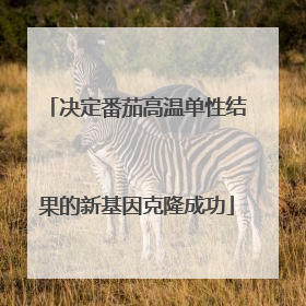 决定番茄高温单性结果的新基因克隆成功