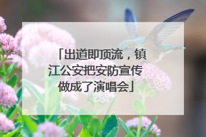 出道即顶流，镇江公安把安防宣传做成了演唱会