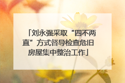 刘永强采取“四不两直”方式督导检查危旧房屋集中整治工作