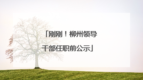 刚刚！柳州领导干部任职前公示
