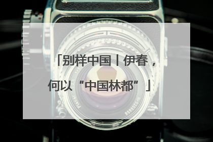 别样中国丨伊春，何以“中国林都”