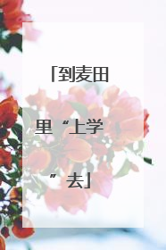 到麦田里“上学”去