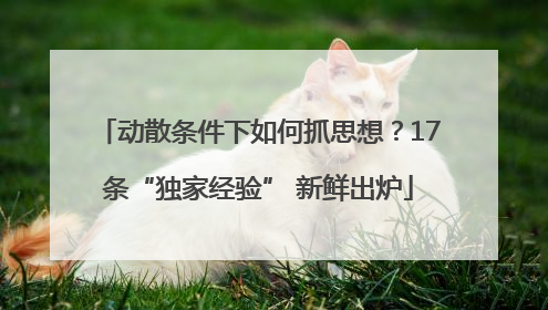 动散条件下如何抓思想？17条“独家经验” 新鲜出炉