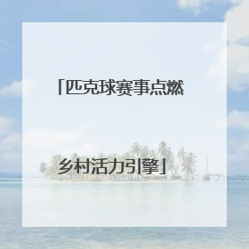 匹克球赛事点燃乡村活力引擎