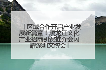 区域合作开启产业发展新篇章！黑龙江文化产业招商引资推介会闪耀深圳文博会