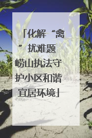 化解“禽”扰难题 崂山执法守护小区和谐宜居环境