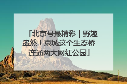 北京号最精彩｜野趣盎然！京城这个生态桥连通两大网红公园