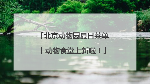 北京动物园夏日菜单丨动物食堂上新啦！