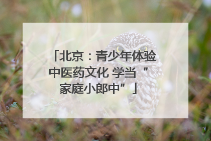 北京：青少年体验中医药文化 学当“家庭小郎中”