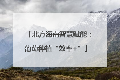 北方海南智慧赋能：葡萄种植“效率+”