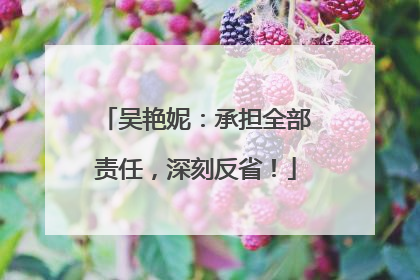 吴艳妮：承担全部责任，深刻反省！