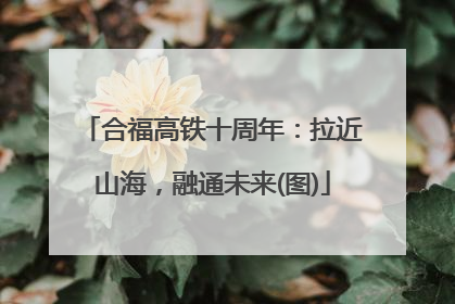 合福高铁十周年：拉近山海，融通未来(图)