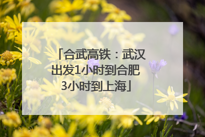 合武高铁：武汉出发1小时到合肥3小时到上海