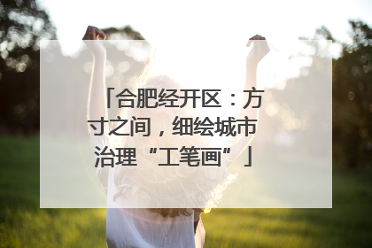 合肥经开区：方寸之间，细绘城市治理“工笔画”
