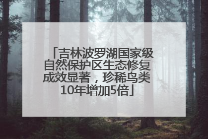 吉林波罗湖国家级自然保护区生态修复成效显著，珍稀鸟类10年增加5倍