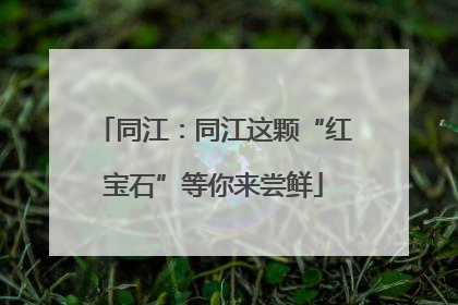 同江：同江这颗“红宝石”等你来尝鲜