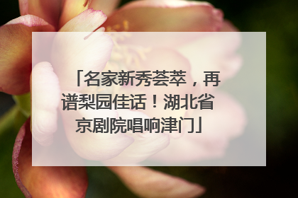 名家新秀荟萃，再谱梨园佳话！湖北省京剧院唱响津门