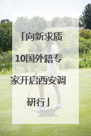 向新求质 10国外籍专家开启西安调研行