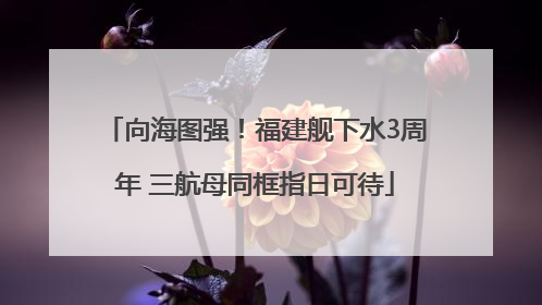 向海图强！福建舰下水3周年 三航母同框指日可待