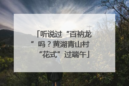 听说过“百衲龙”吗？黄湖青山村“花式”过端午