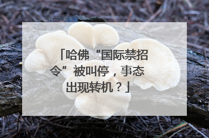 哈佛“国际禁招令”被叫停，事态出现转机？