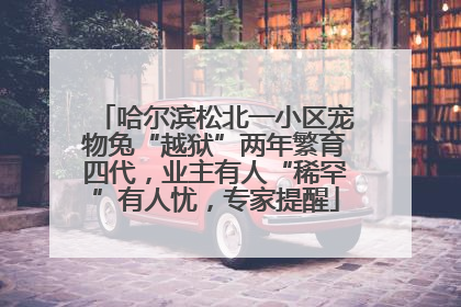 哈尔滨松北一小区宠物兔“越狱”两年繁育四代，业主有人“稀罕”有人忧，专家提醒