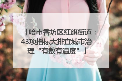 哈市香坊区红旗街道：43项指标大排查城市治理“有数有温度”