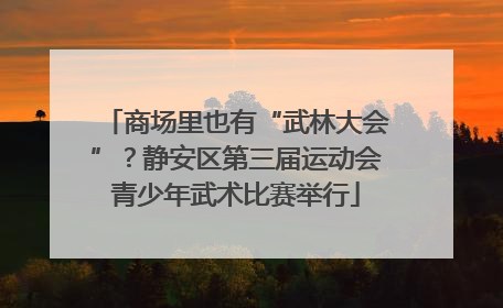 商场里也有“武林大会”？静安区第三届运动会青少年武术比赛举行