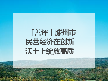 善评｜滕州市民营经济在创新沃土上绽放高质量发展之花