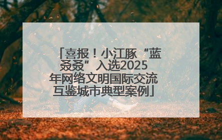 喜报！小江豚“蓝叒叒”入选2025年网络文明国际交流互鉴城市典型案例
