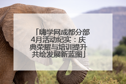 嗨学网成都分部4月活动纪实：庆典荣耀与培训提升共绘发展新蓝图