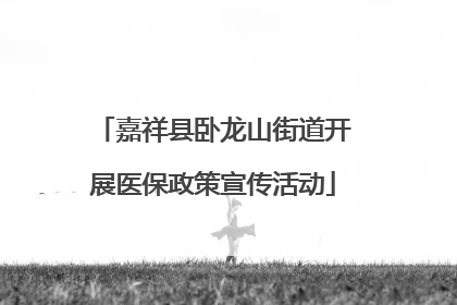 嘉祥县卧龙山街道开展医保政策宣传活动