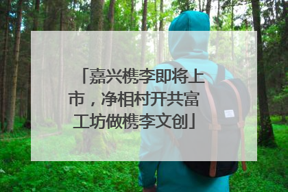 嘉兴槜李即将上市，净相村开共富工坊做槜李文创