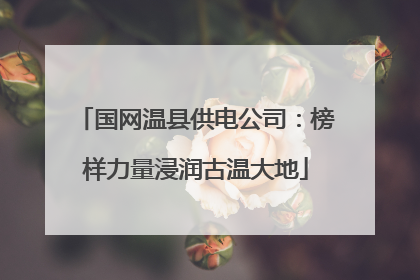 国网温县供电公司：榜样力量浸润古温大地