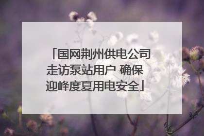 国网荆州供电公司走访泵站用户 确保迎峰度夏用电安全