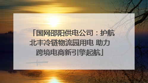 国网邵阳供电公司：护航北丰冷链物流园用电 助力跨境电商新引擎起航