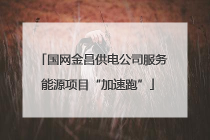 国网金昌供电公司服务能源项目“加速跑”