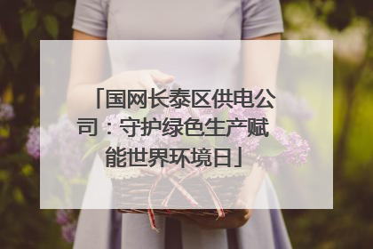 国网长泰区供电公司：守护绿色生产赋能世界环境日