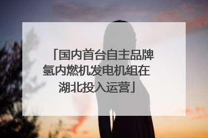 国内首台自主品牌氢内燃机发电机组在湖北投入运营