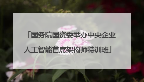 国务院国资委举办中央企业人工智能首席架构师特训班
