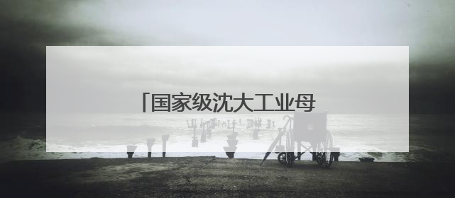 国家级沈大工业母机集群对接会举办