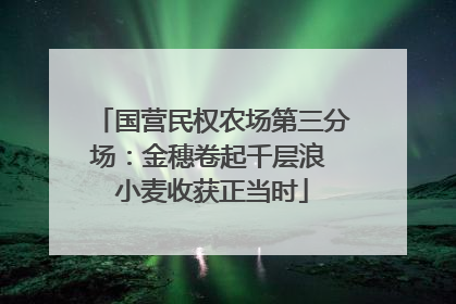 国营民权农场第三分场：金穗卷起千层浪 小麦收获正当时
