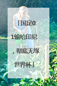 国足0:1输给印尼，彻底无缘世界杯