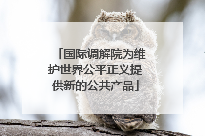 国际调解院为维护世界公平正义提供新的公共产品