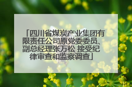 四川省煤炭产业集团有限责任公司原党委委员、副总经理张万松 接受纪律审查和监察调查