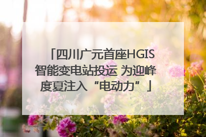 四川广元首座HGIS智能变电站投运 为迎峰度夏注入“电动力”